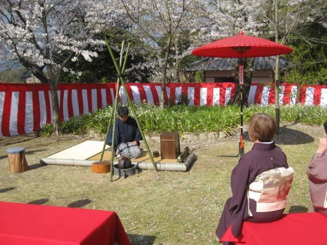 春の茶会 