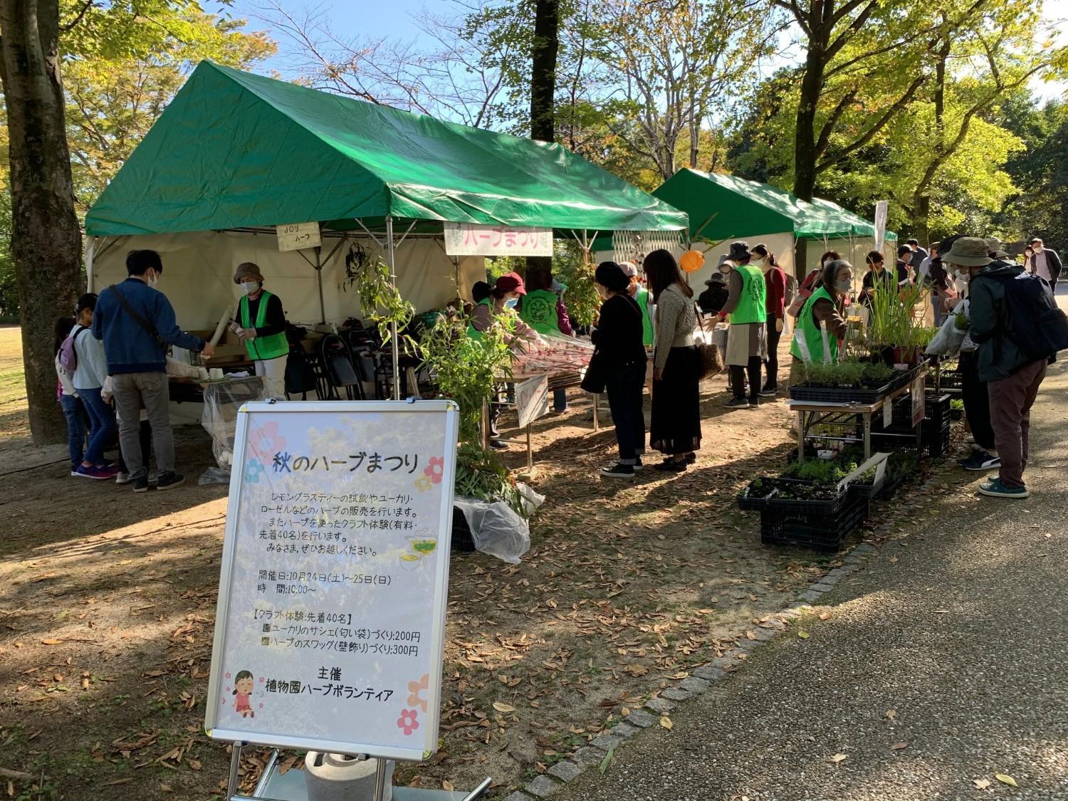 ハーブボランティア（JOYハーブ）の画像2