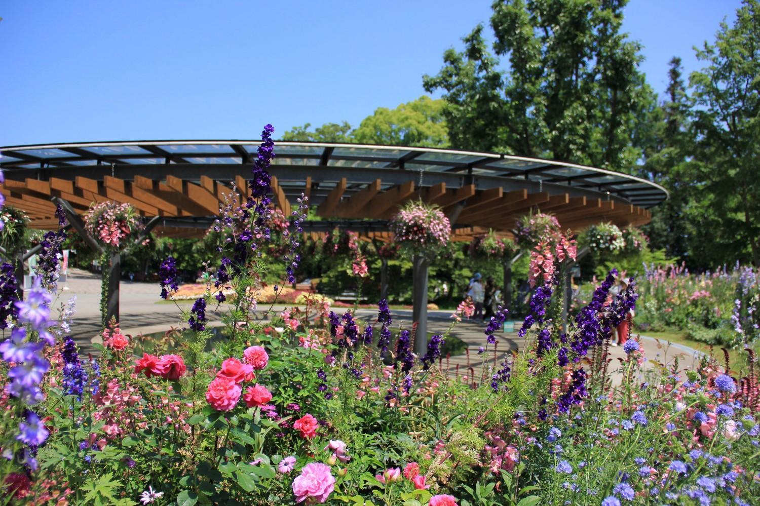 福岡市植物園「Amazonほしい物リスト」を募集中です