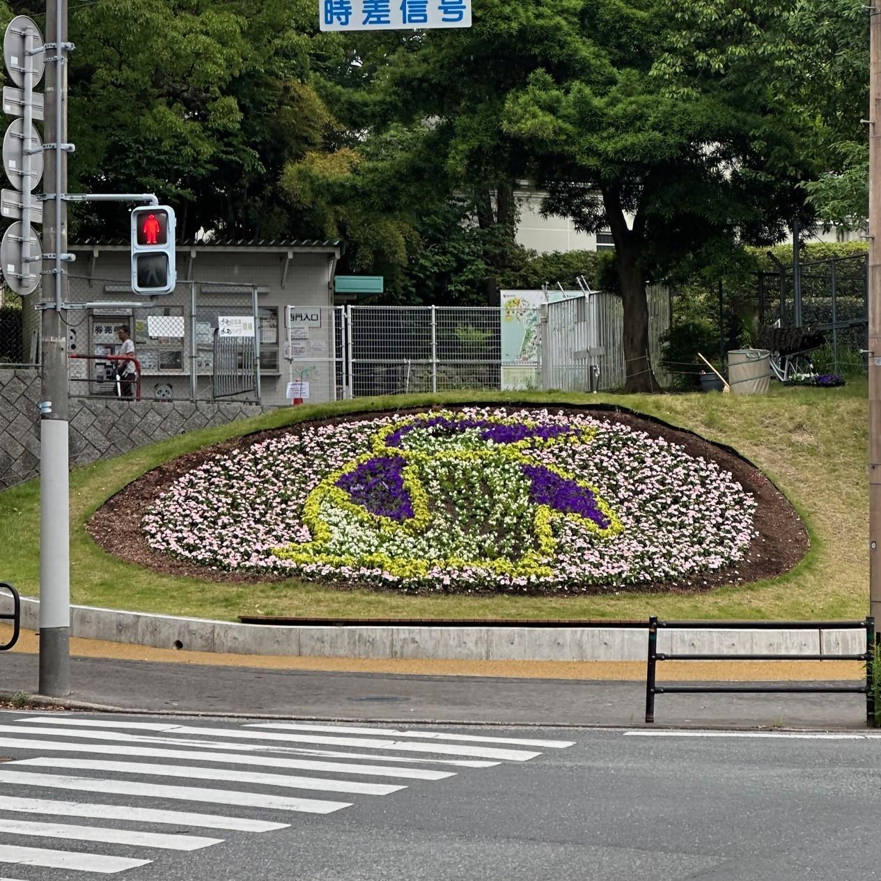 動物園西門前の「おもてなし花壇」がペンギンに！の画像1