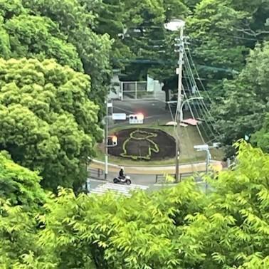 動物園西門前の「おもてなし花壇」がペンギンに！の画像3