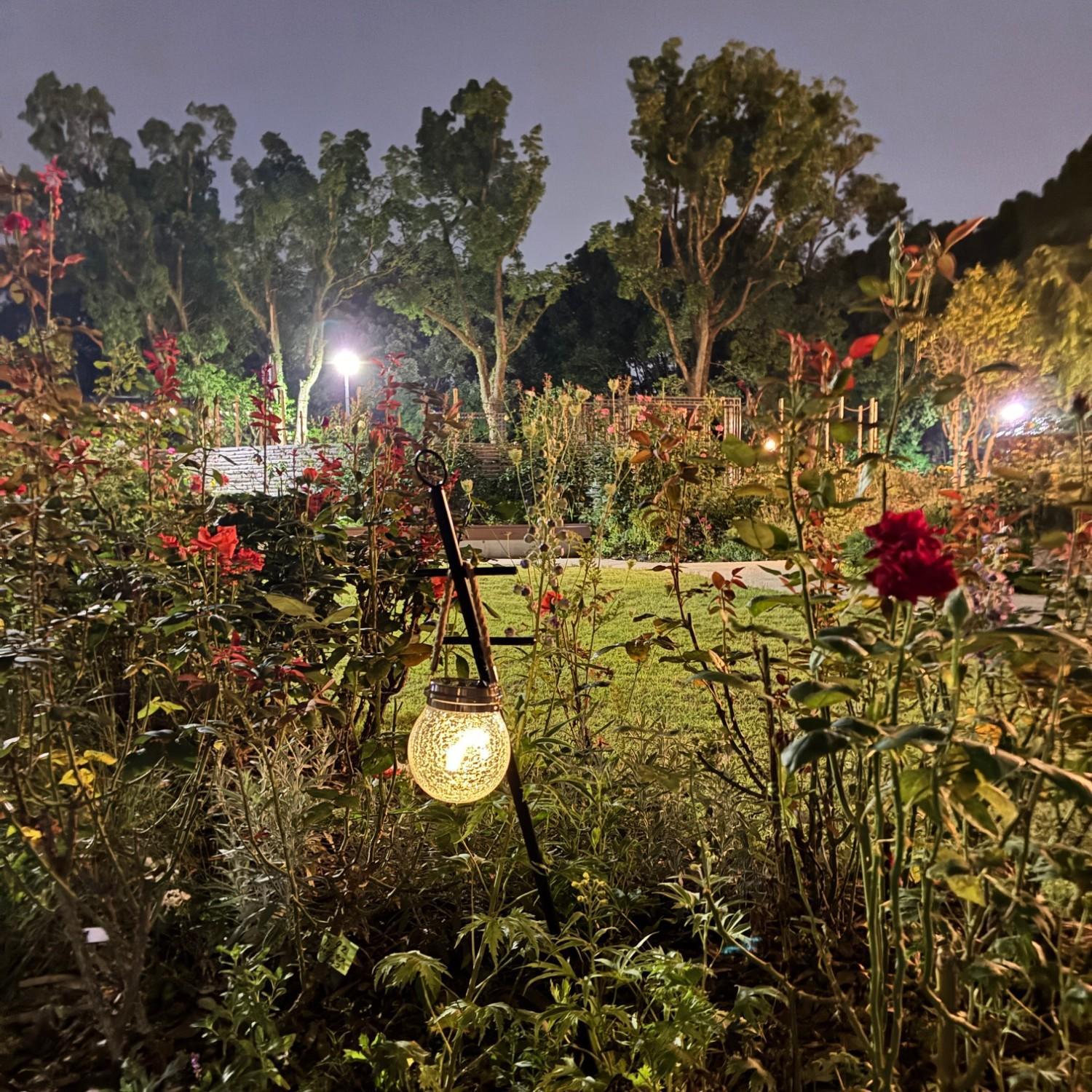 福岡市植物園「Amazonほしい物リスト」を新規追加しました （7月13日更新）の画像4