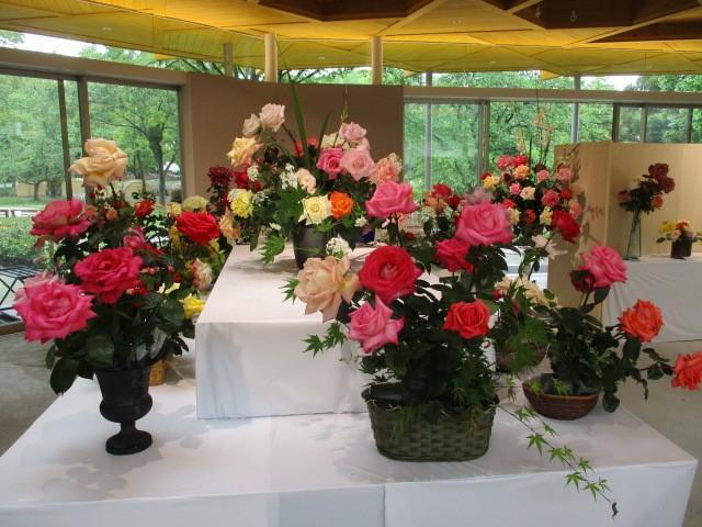 春のばら展（2026）