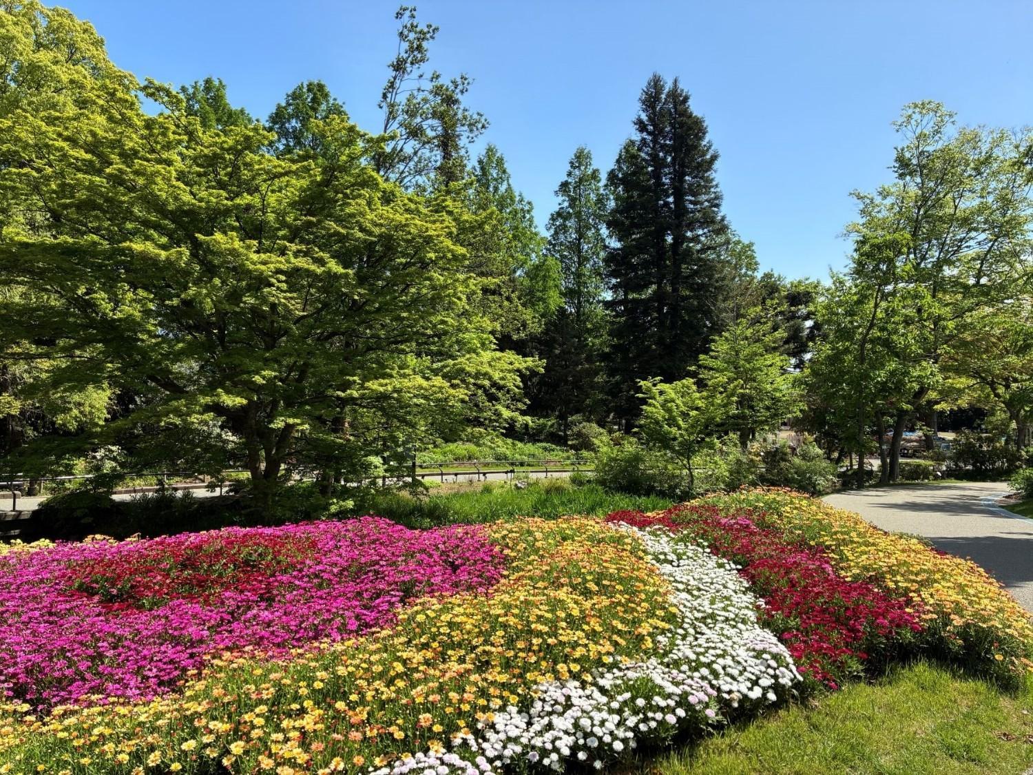 ☆春のエントランスガーデンの見どころ紹介☆の画像7