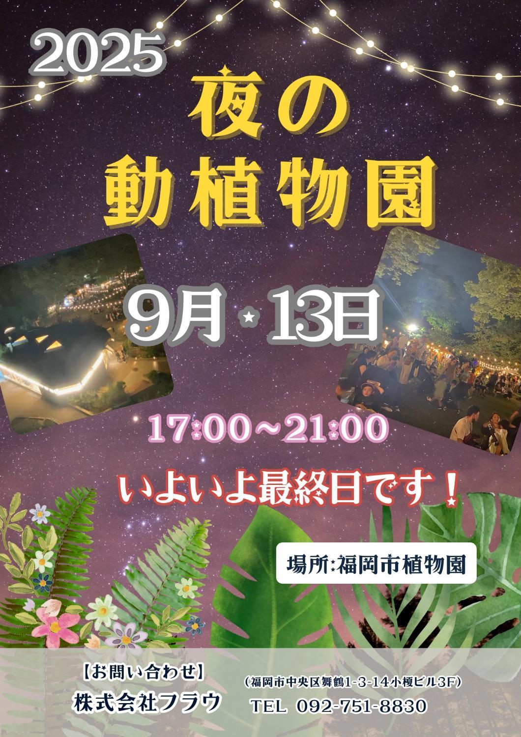 ☆夜の動植物園開催中☆植物園エリアの見どころ紹介（2025.９.12)  の画像6