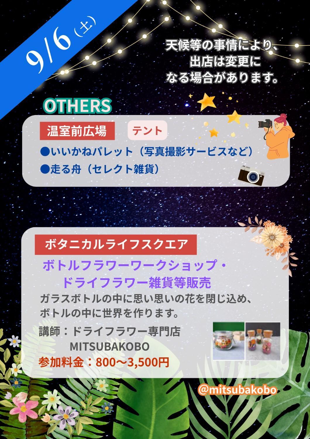 ☆夜の動植物園開催中☆植物園エリアの見どころ紹介（2025.９.５)  の画像8
