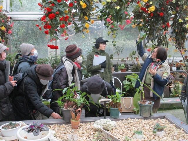 ２月の植物観察会  ※当日受付