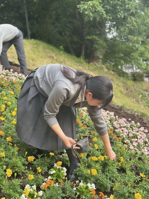 動物園西門前の「おもてなし花壇」がライオンに！の画像3