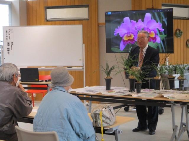 シュンランを育ててみよう　※当日先着順