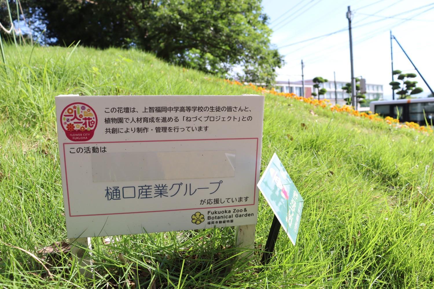 動物園西門前の「おもてなし花壇」がライオンに！の画像10