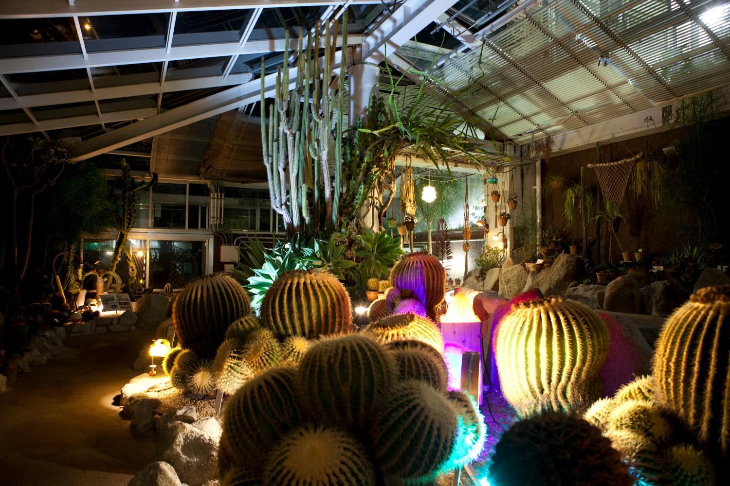 ☆夜の動植物園開催中☆植物園エリアの見どころ紹介（2025.８.９追記）の画像5