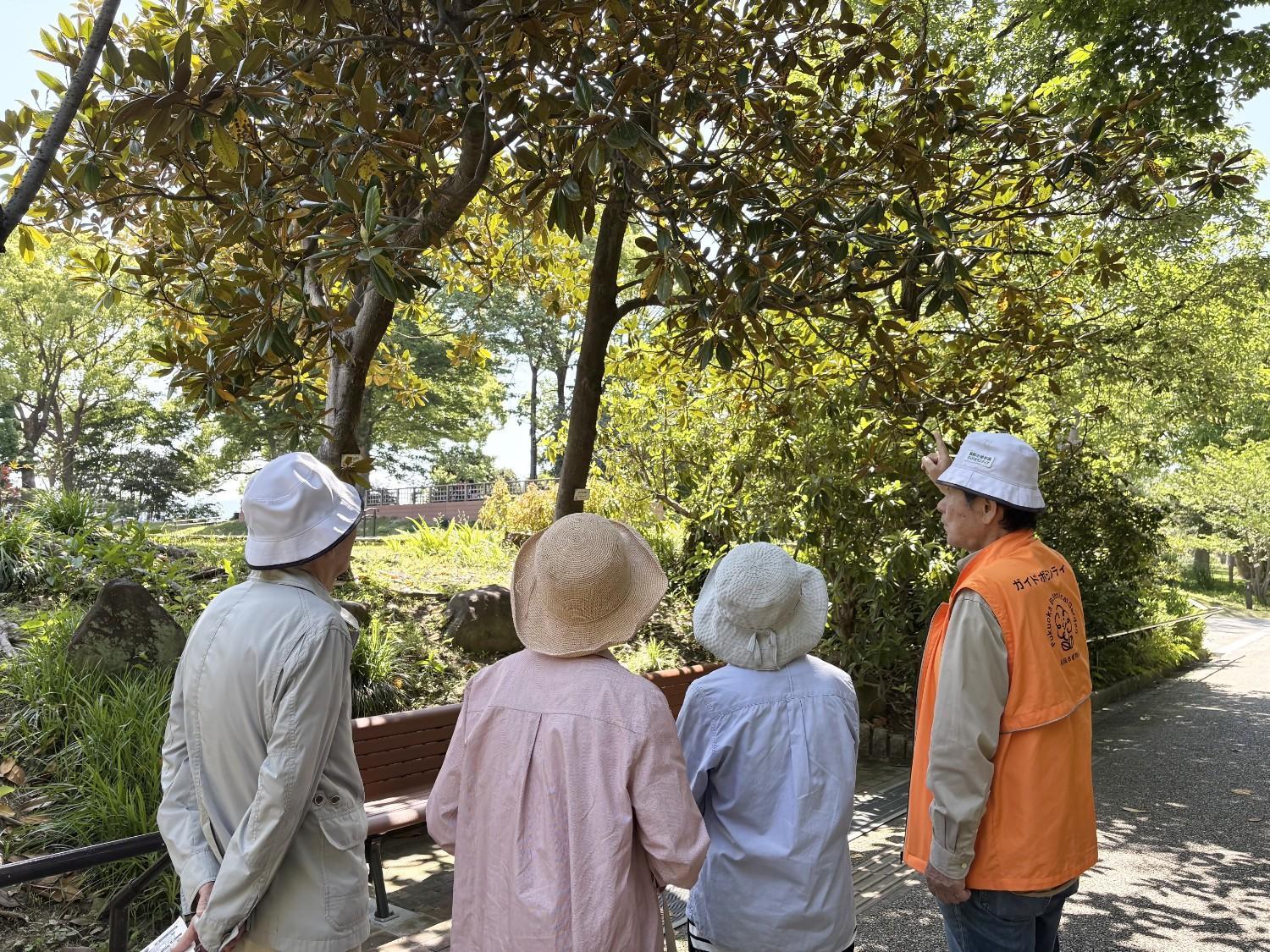 植物を観察してみよう ※当日受付