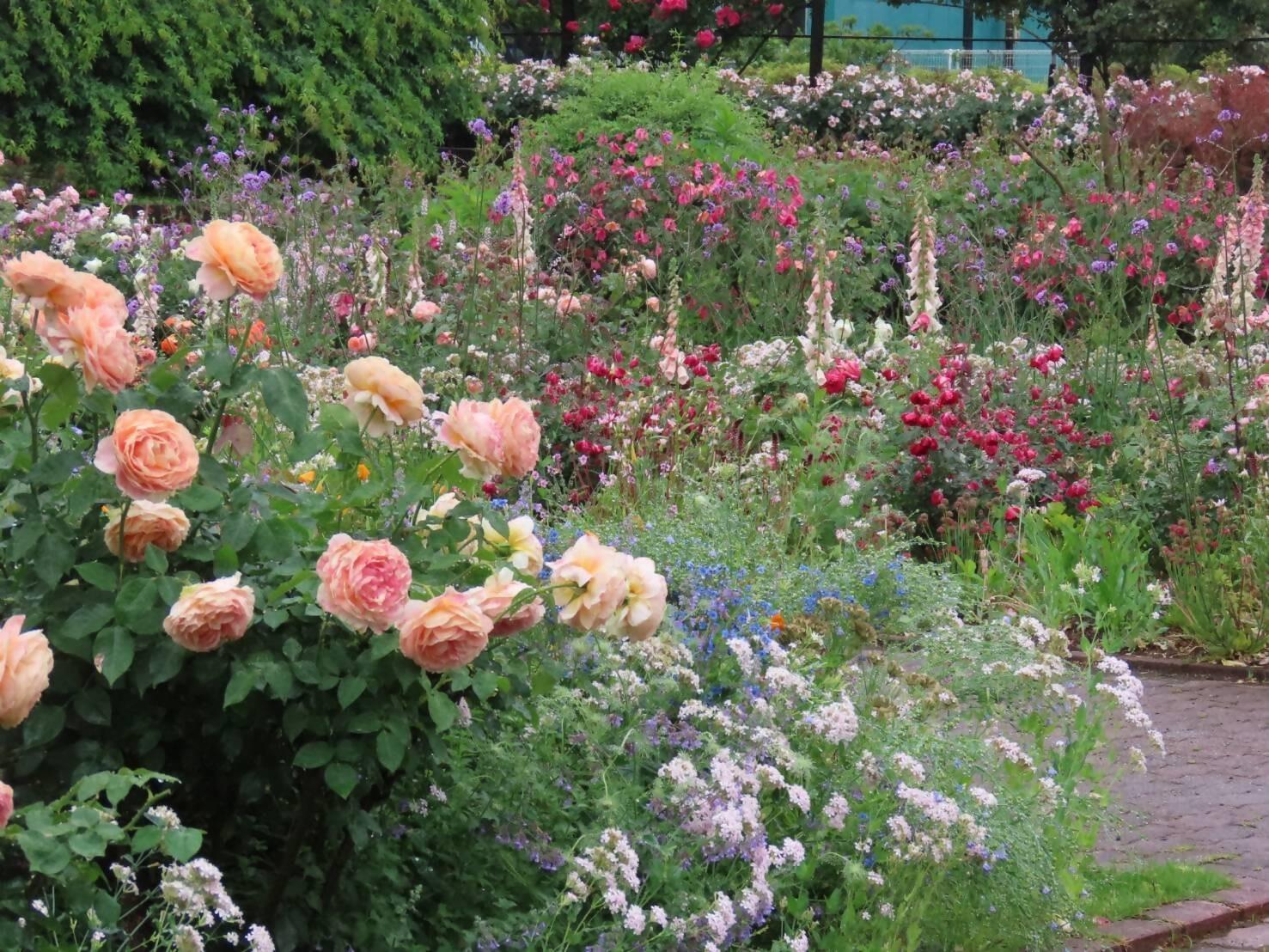 福岡市植物園「Amazonほしい物リスト」を新規追加いたしますの画像9