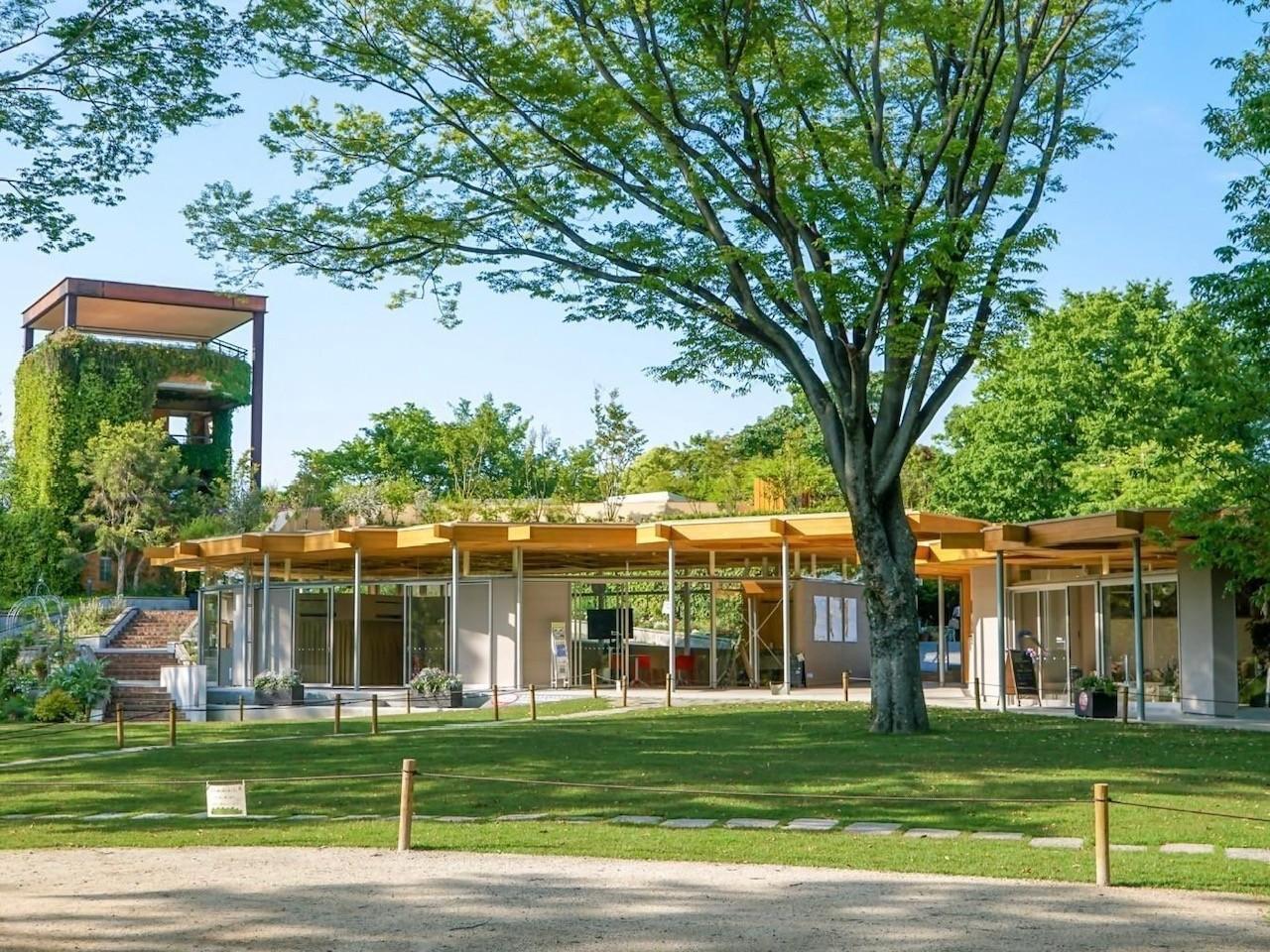 福岡市植物園のCOOLスポットの画像3