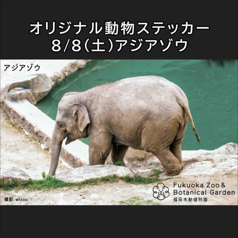 公共交通機関で「夜の動植物園」に来園した方へ「オリジナル動物ステッカー」をプレゼント♪
