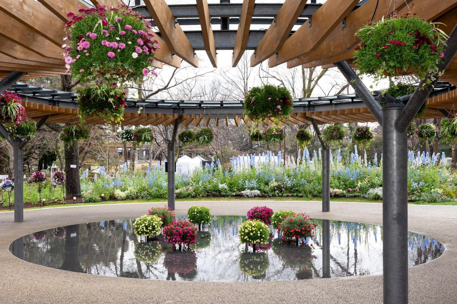 ☆春のエントランスガーデンの見どころ紹介☆の画像4