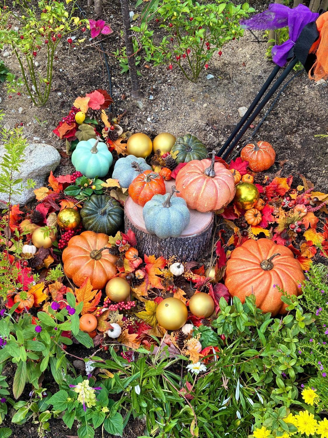 園内がハロウィン仕様に♪の画像7